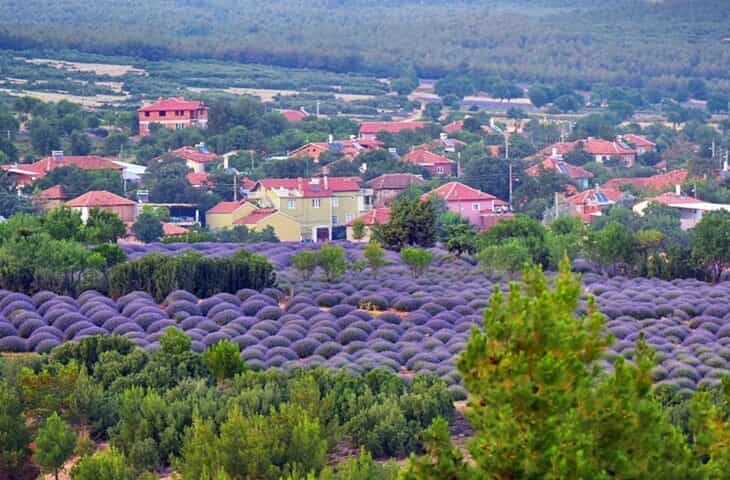 SAGALASSOS & İNSUYU MAĞARASI & ISPARTA GÜL VADİLERİ TURU 